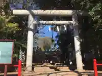 赤堤六所神社の鳥居