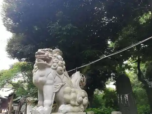 菊田神社の狛犬