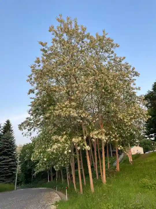 上野幌神社(北海道)