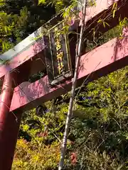 來宮神社の鳥居