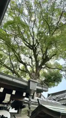 彌刀神社(大阪府)