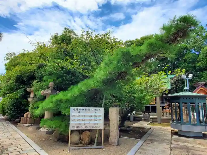 和田神社の自然