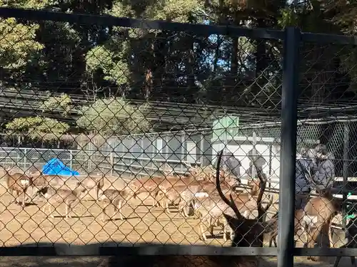 鹿島神宮(茨城県)