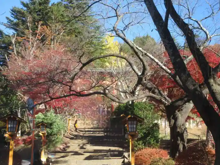 新倉富士浅間神社(山梨県)