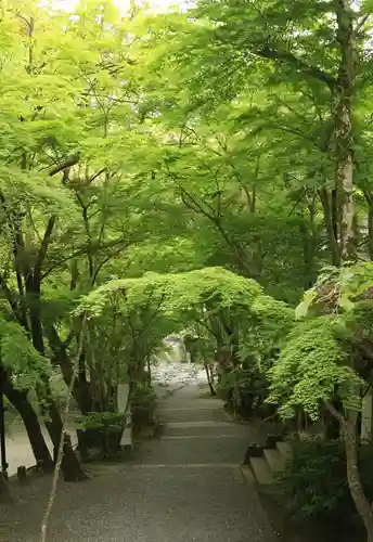 神峯山寺(大阪府)