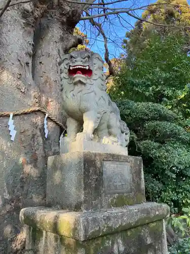 比々多神社(神奈川県)