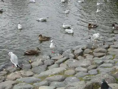 鶴岡八幡宮(神奈川県)