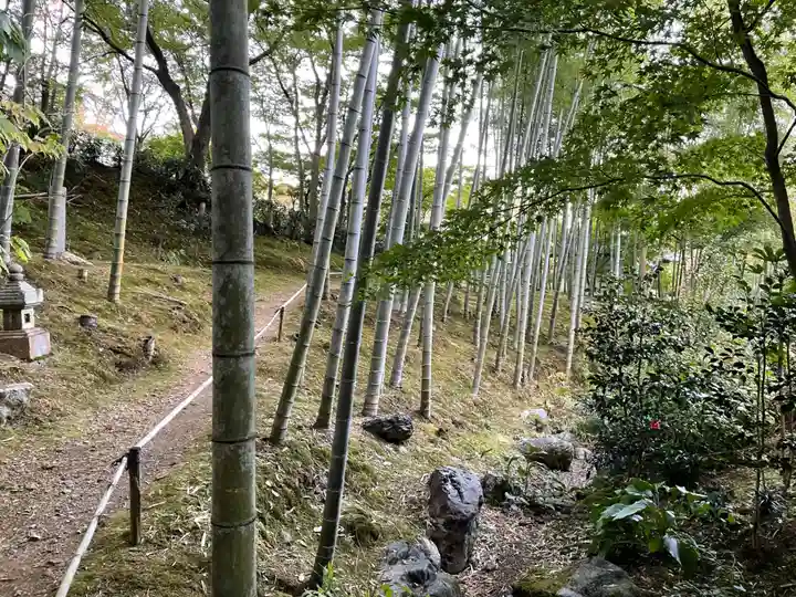 常寂光寺(京都府)
