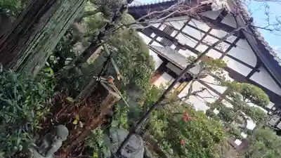 霊源院(京都府)