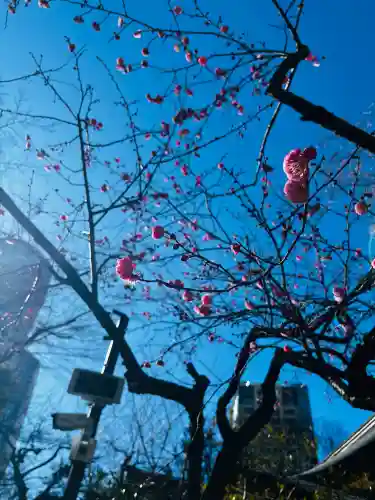 愛宕神社の{uncategorized: "未分類", other: "その他", undefined: "問題あり", building: "その他建物", grave: "お墓", sacred_gate: "鳥居", guardian: "狛犬", statue: "像", buddha: "仏像", history: "歴史", nature: "自然", garden: "庭園", animal: "動物", pagoda: "塔", temizu: "手水舎", mountain_gate: "山門・神門", sanctuary: "本殿・本堂", subordinate: "末社・摂社", art: "芸術", scenery: "景色", jizo: "地蔵", ema: "絵馬", goshuin: "御朱印", omikuji: "おみくじ", items: "授与品その他", amulet: "お守り", goshuincho: "御朱印帳", eats: "食事", festival: "お祭り", votive_dance: "神楽", shichigosan: "七五三参", wedding: "結婚式", experience: "体験その他", initially: "初詣", around: "周辺", anti_infection: "感染症対策"}