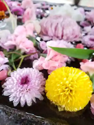 鳩森八幡神社の手水舎