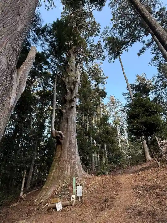 智満寺(静岡県)