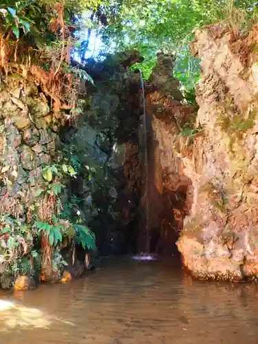 目の霊山　油山寺の自然