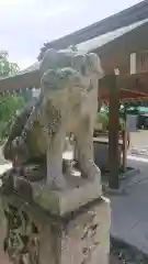 岡田神社の狛犬