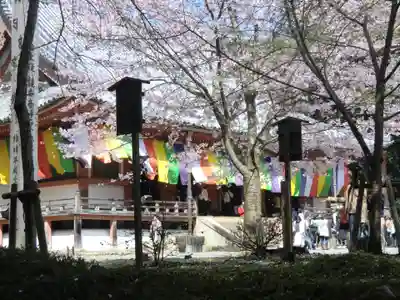醍醐寺(京都府)
