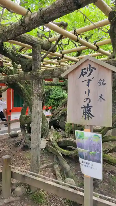 春日大社の{uncategorized: "未分類", other: "その他", undefined: "問題あり", building: "その他建物", grave: "お墓", sacred_gate: "鳥居", guardian: "狛犬", statue: "像", buddha: "仏像", history: "歴史", nature: "自然", garden: "庭園", animal: "動物", pagoda: "塔", temizu: "手水舎", mountain_gate: "山門・神門", sanctuary: "本殿・本堂", subordinate: "末社・摂社", art: "芸術", scenery: "景色", jizo: "地蔵", ema: "絵馬", goshuin: "御朱印", omikuji: "おみくじ", items: "授与品その他", amulet: "お守り", goshuincho: "御朱印帳", eats: "食事", festival: "お祭り", votive_dance: "神楽", shichigosan: "七五三参", wedding: "結婚式", experience: "体験その他", initially: "初詣", around: "周辺", anti_infection: "感染症対策"}