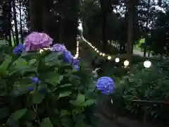 磯山神社の自然