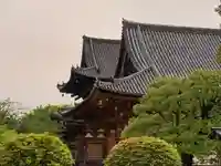 東寺(教王護国寺)のその他建物