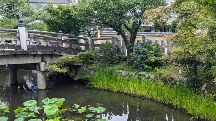 くろ谷 金戒光明寺(京都府)