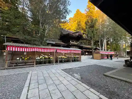 諏訪大社下社秋宮(長野県)