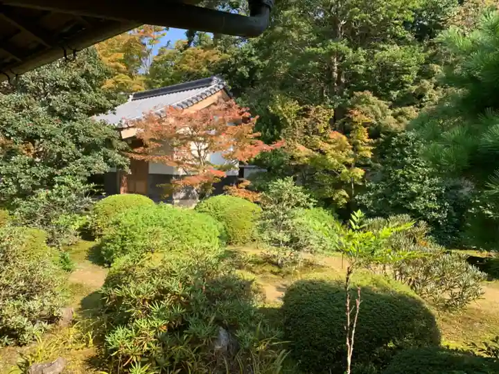 隨心院(随心院)の景色