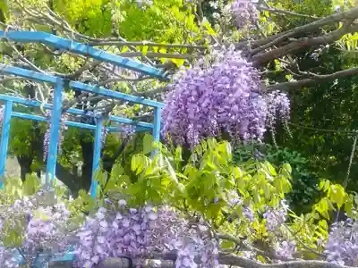 本成寺(大阪府)