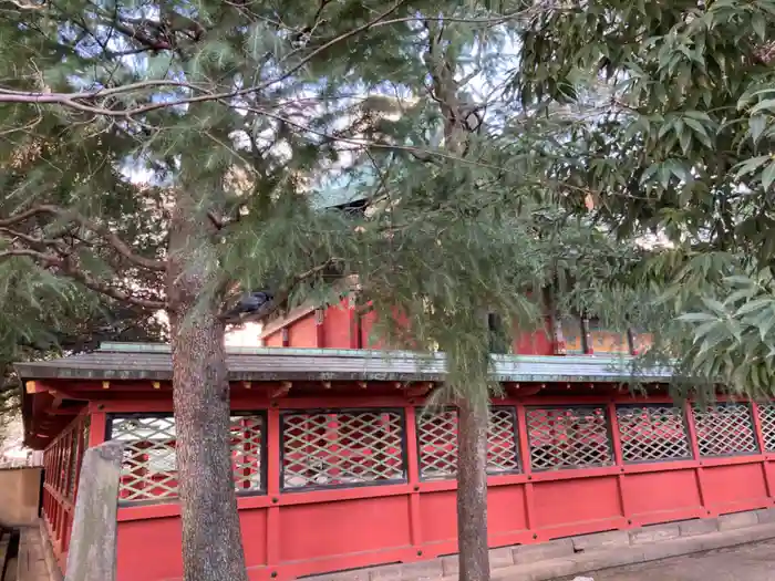 浅草神社の本殿