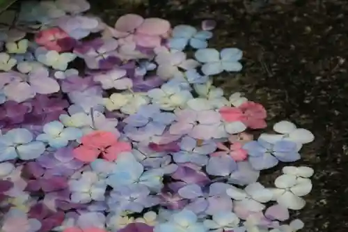 開成山大神宮の手水舎