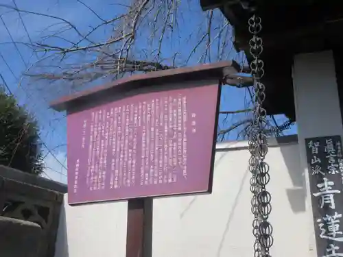 青蓮寺(東京都)