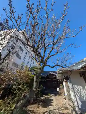 蓮乗院(東京都)