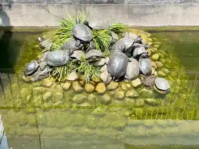 嚴島神社(千葉県)