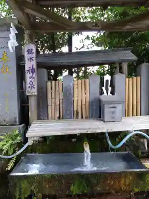 阿蘇神社の手水舎