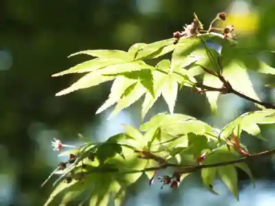 惣社神社のその他建物