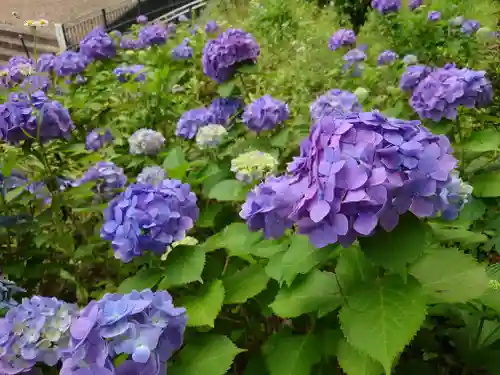 神明社(千葉県)