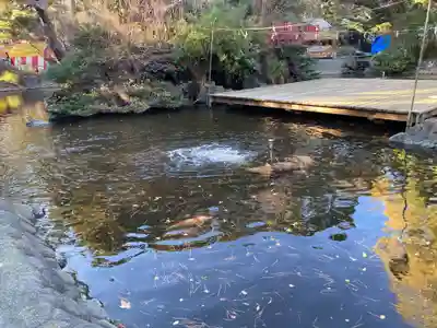 平塚八幡宮(神奈川県)