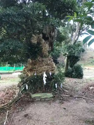 多氣神社のその他建物