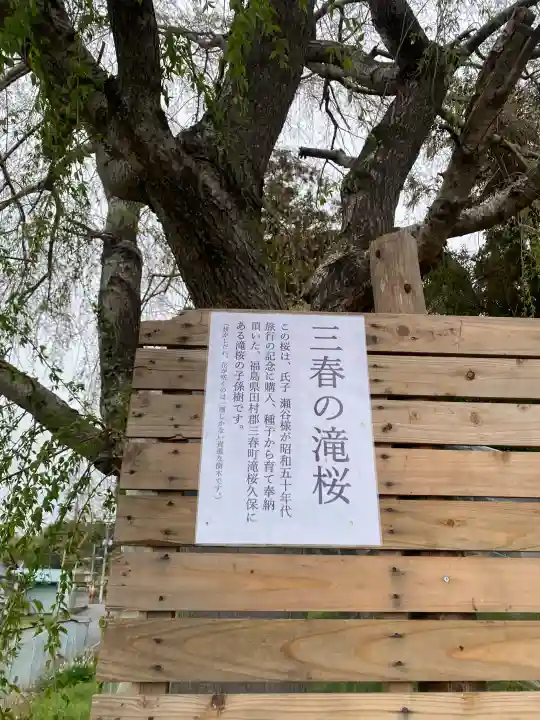 台渡里八幡神社の{uncategorized: "未分類", other: "その他", undefined: "問題あり", building: "その他建物", grave: "お墓", sacred_gate: "鳥居", guardian: "狛犬", statue: "像", buddha: "仏像", history: "歴史", nature: "自然", garden: "庭園", animal: "動物", pagoda: "塔", temizu: "手水舎", mountain_gate: "山門・神門", sanctuary: "本殿・本堂", subordinate: "末社・摂社", art: "芸術", scenery: "景色", jizo: "地蔵", ema: "絵馬", goshuin: "御朱印", omikuji: "おみくじ", items: "授与品その他", amulet: "お守り", goshuincho: "御朱印帳", eats: "食事", festival: "お祭り", votive_dance: "神楽", shichigosan: "七五三参", wedding: "結婚式", experience: "体験その他", initially: "初詣", around: "周辺", anti_infection: "感染症対策"}