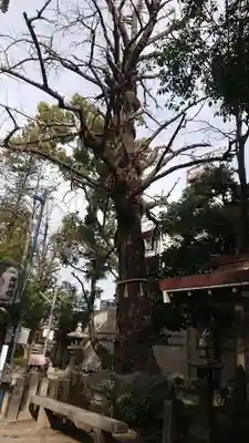 守居神社の自然