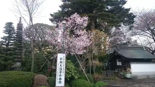 井口院の庭園