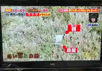 鵜渡根后明神社(東京都)