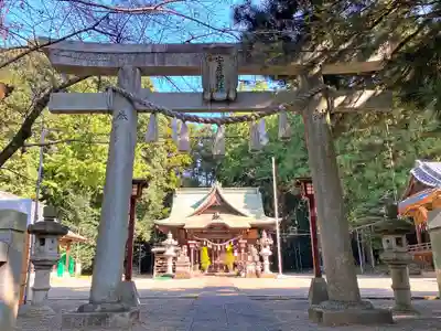 安房神社の鳥居