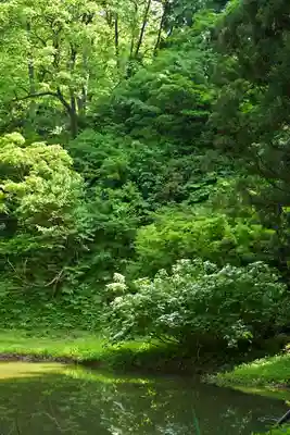 郡殿の池弁財天社(新潟県)