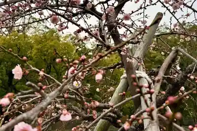 伊勢の国 四天王寺(三重県)