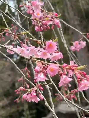 南湖神社(福島県)