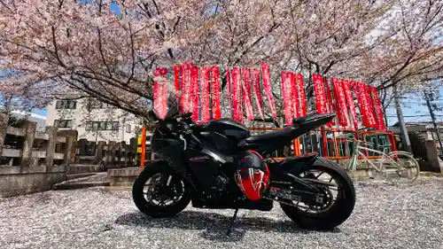 六孫王神社(京都府)