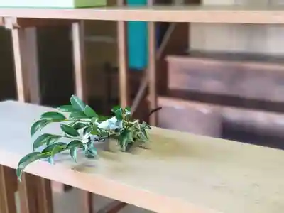 伏木香取神社の体験その他