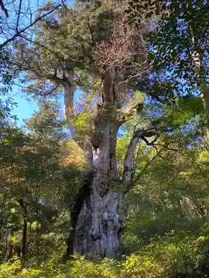 木魂神社(鹿児島県)