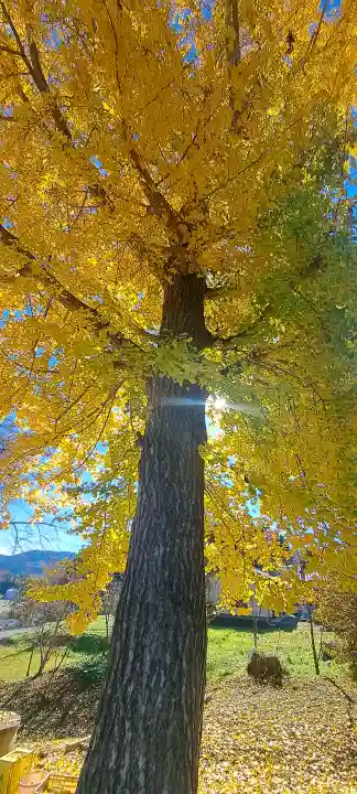 松峰神社、天照御祖神社の{uncategorized: "未分類", other: "その他", undefined: "問題あり", building: "その他建物", grave: "お墓", sacred_gate: "鳥居", guardian: "狛犬", statue: "像", buddha: "仏像", history: "歴史", nature: "自然", garden: "庭園", animal: "動物", pagoda: "塔", temizu: "手水舎", mountain_gate: "山門・神門", sanctuary: "本殿・本堂", subordinate: "末社・摂社", art: "芸術", scenery: "景色", jizo: "地蔵", ema: "絵馬", goshuin: "御朱印", omikuji: "おみくじ", items: "授与品その他", amulet: "お守り", goshuincho: "御朱印帳", eats: "食事", festival: "お祭り", votive_dance: "神楽", shichigosan: "七五三参", wedding: "結婚式", experience: "体験その他", initially: "初詣", around: "周辺", anti_infection: "感染症対策"}