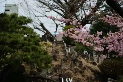 鳩森八幡神社の{uncategorized: "未分類", other: "その他", undefined: "問題あり", building: "その他建物", grave: "お墓", sacred_gate: "鳥居", guardian: "狛犬", statue: "像", buddha: "仏像", history: "歴史", nature: "自然", garden: "庭園", animal: "動物", pagoda: "塔", temizu: "手水舎", mountain_gate: "山門・神門", sanctuary: "本殿・本堂", subordinate: "末社・摂社", art: "芸術", scenery: "景色", jizo: "地蔵", ema: "絵馬", goshuin: "御朱印", omikuji: "おみくじ", items: "授与品その他", amulet: "お守り", goshuincho: "御朱印帳", eats: "食事", festival: "お祭り", votive_dance: "神楽", shichigosan: "七五三参", wedding: "結婚式", experience: "体験その他", initially: "初詣", around: "周辺", anti_infection: "感染症対策"}