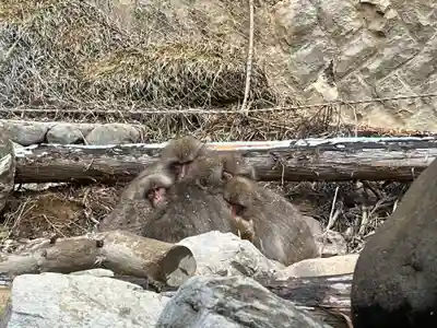 上林不動尊(長野県)